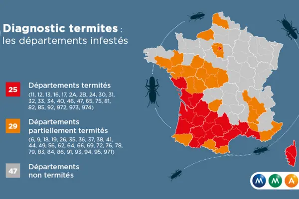 Diagnostic termites pourcentage de présence terrain à bâtir