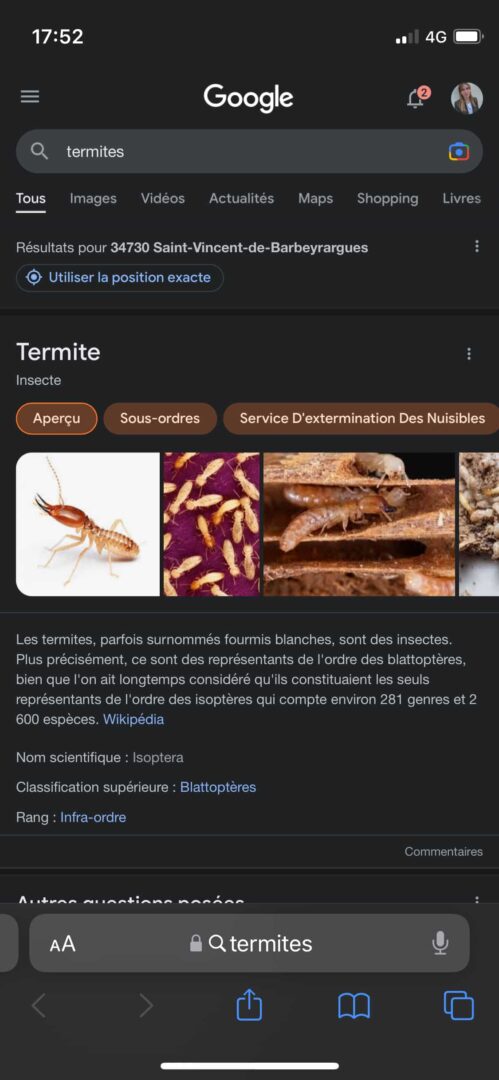 validité diagnostic termites insectes